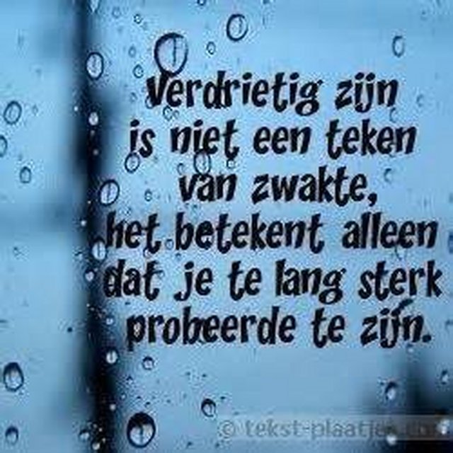 01-34d0f6251ae2444ea0331c81b9dafcb7.jpg