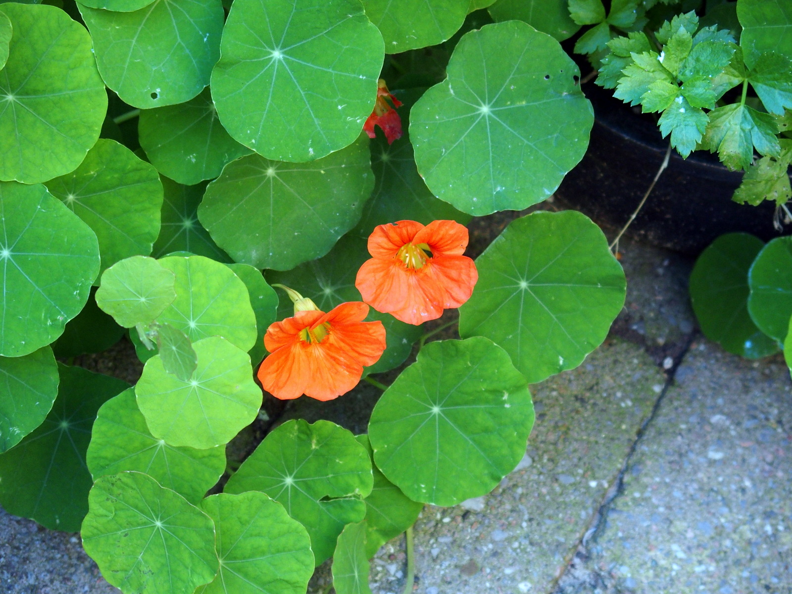 7-HB010066.JPG
