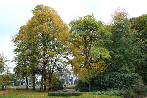 park_scheybeeck.jpeg