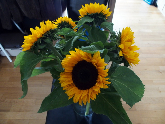 12-3-HB180008.JPG