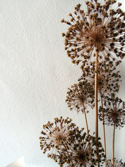 2-HB080005.JPG