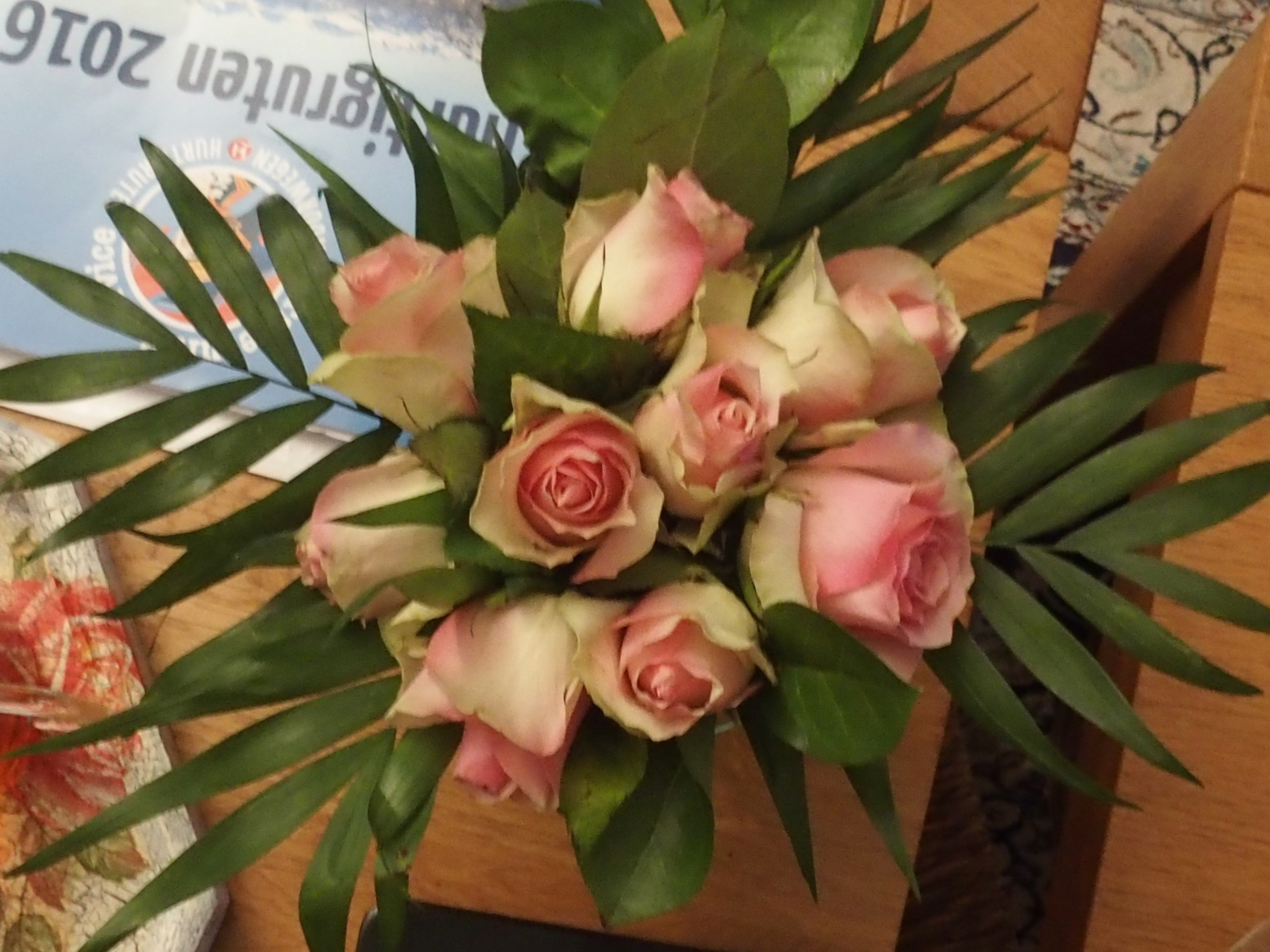 HB240053.JPG