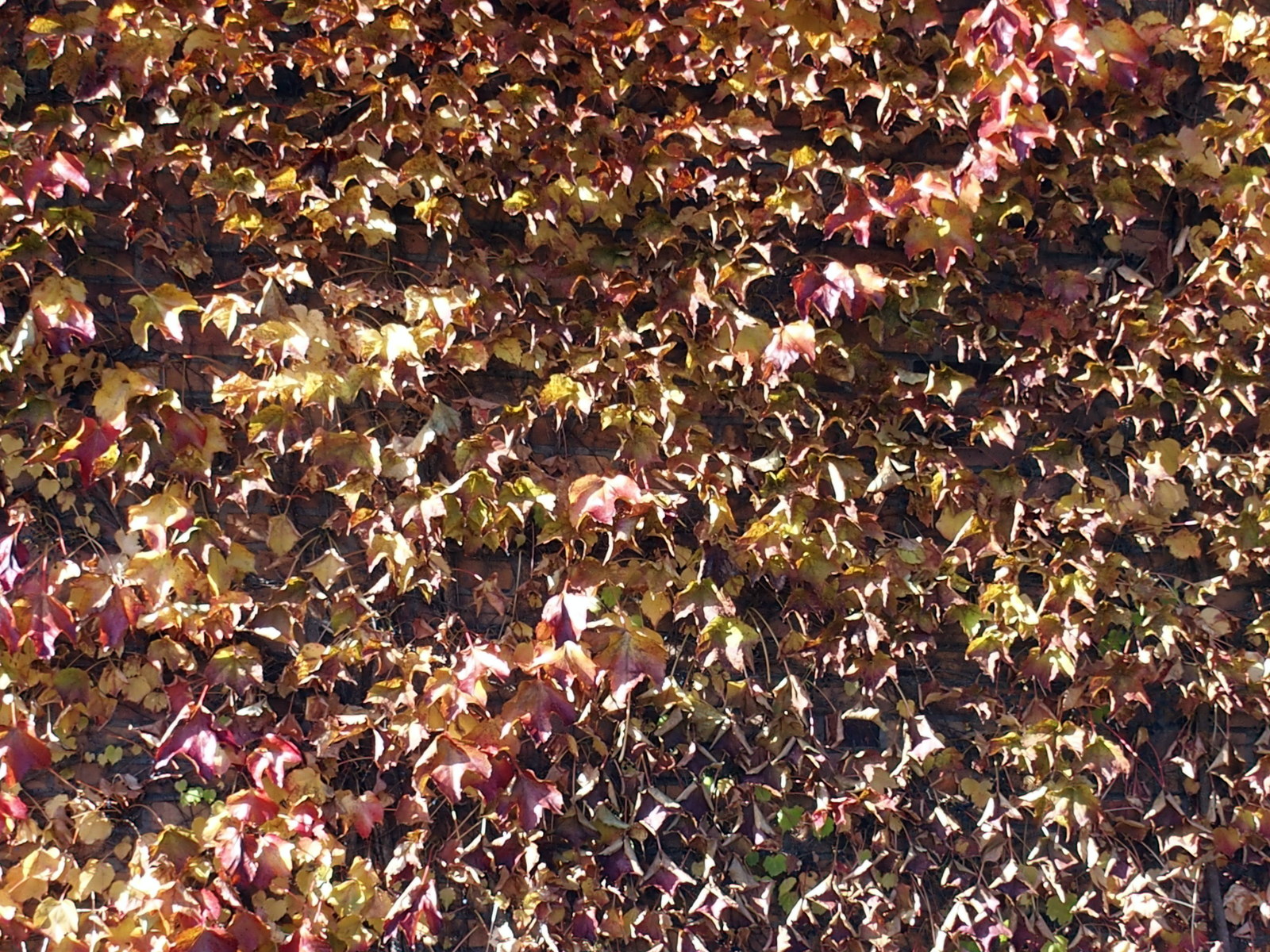 HB250053.JPG