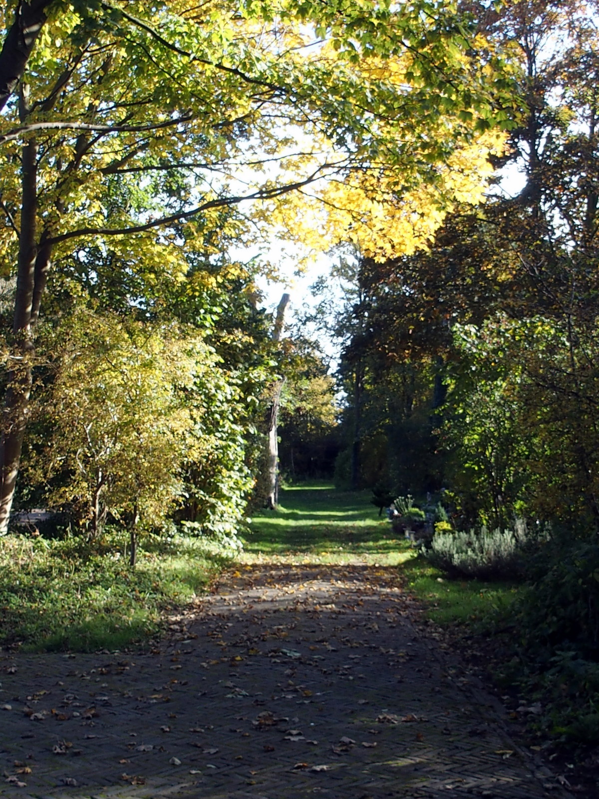 HB250057.JPG