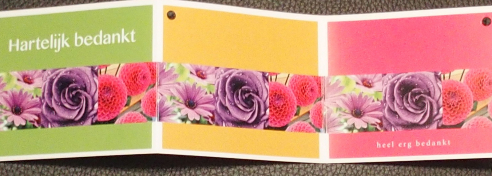 HB270060.JPG