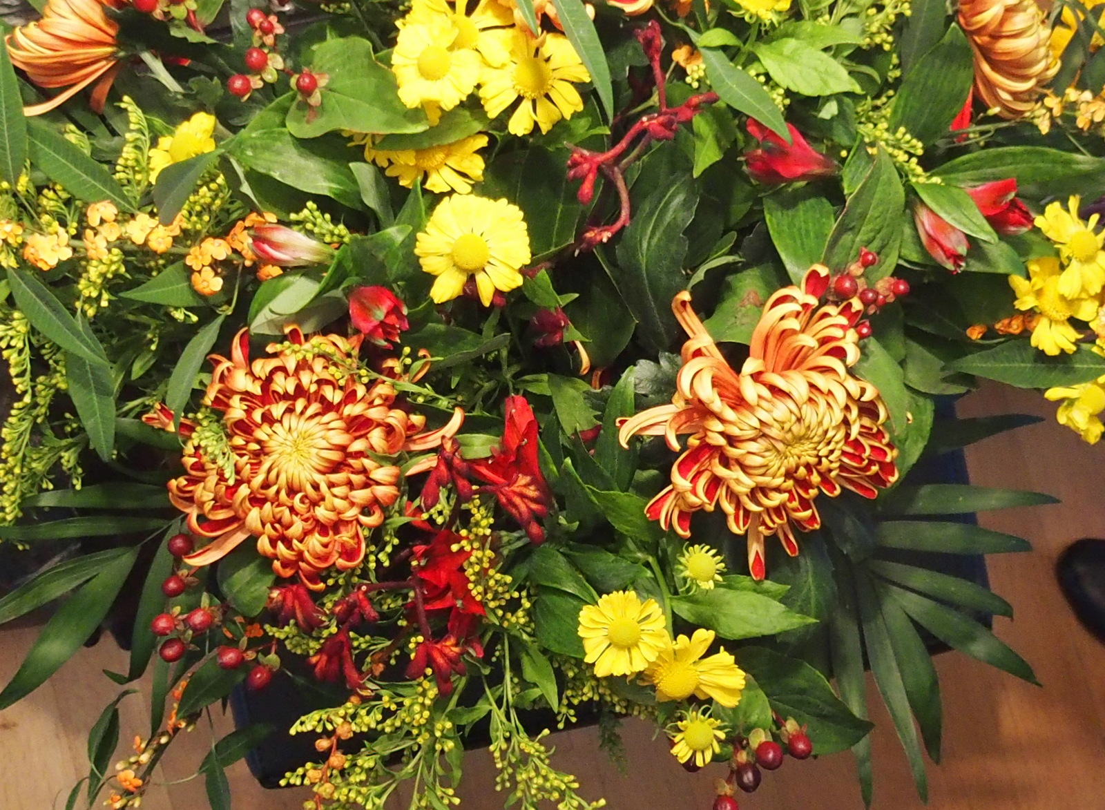 HB270065.JPG