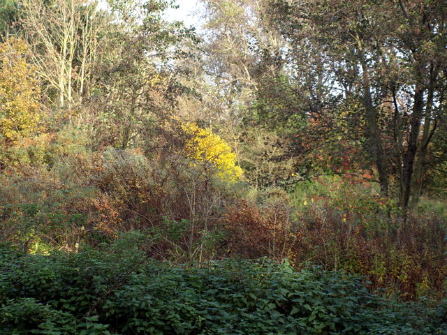 HB010003.JPG