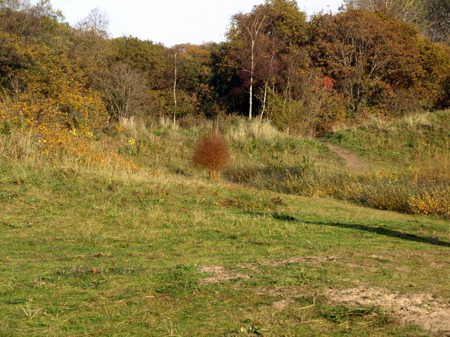 HB010013.JPG