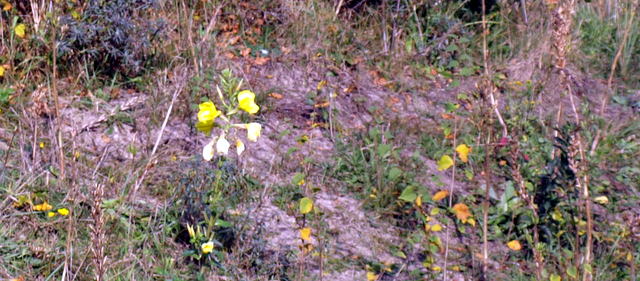 HB010015.JPG