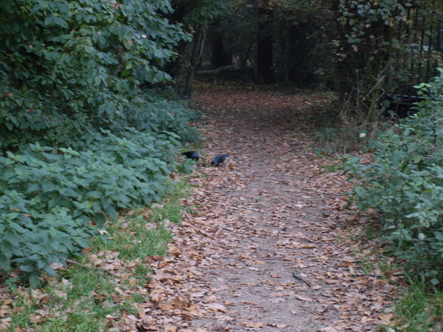 HB010007.JPG