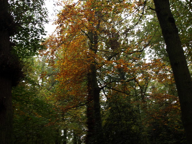 HB010012.JPG