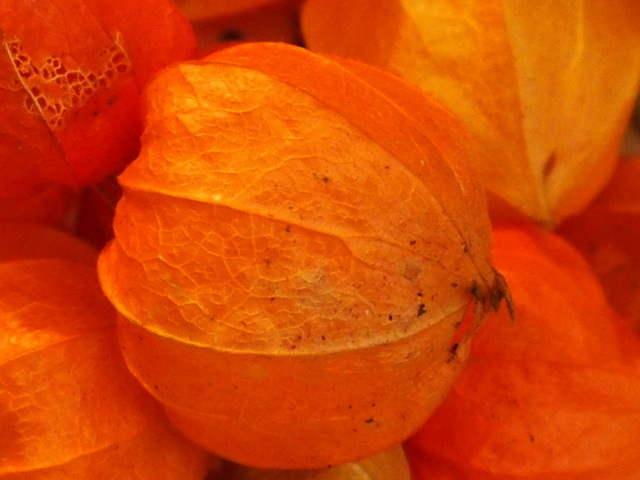 HB020050.JPG
