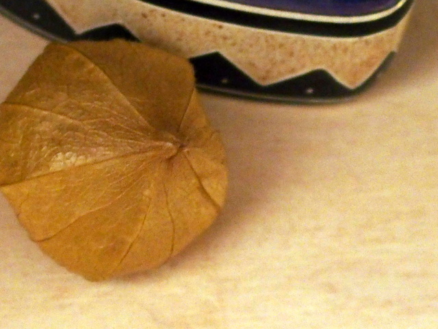 HB020052-003.JPG