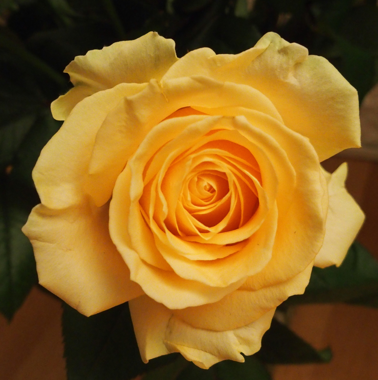HB120005.JPG