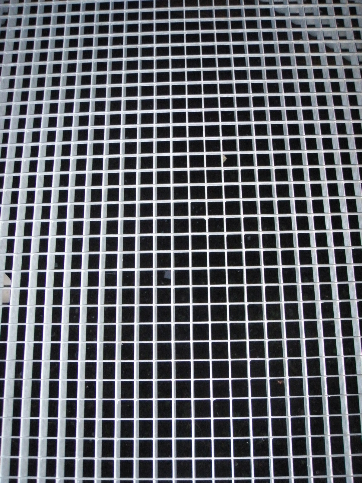 PB114472.JPG