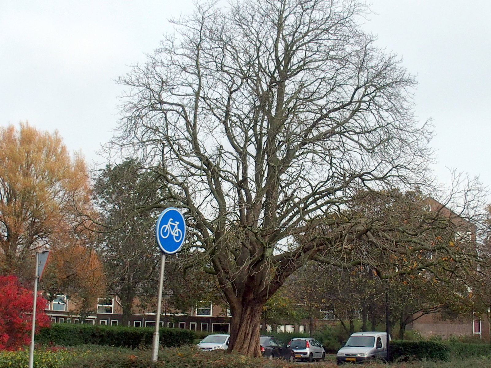 HB080001.JPG