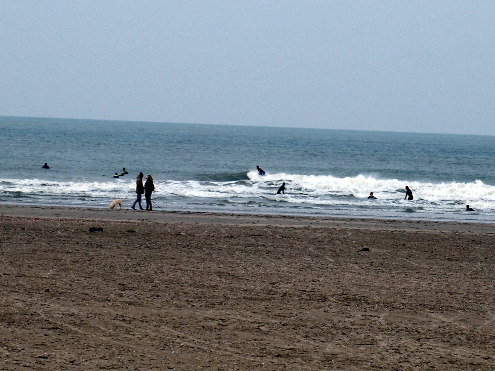 HB080013.JPG