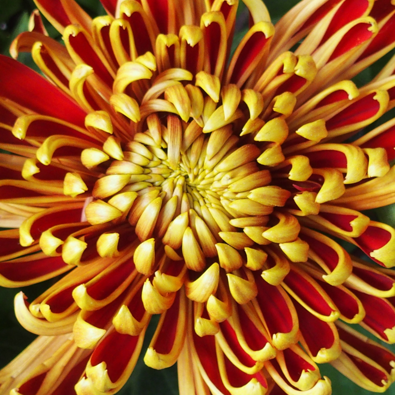 HB280056.JPG